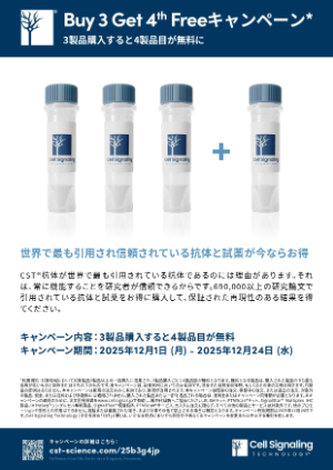 【CSTジャパン】Buy 3 Get 4th Free キャンペーン